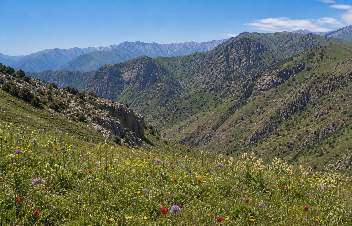 Aksu-Zhabagly Nature Reserve, Shymkent